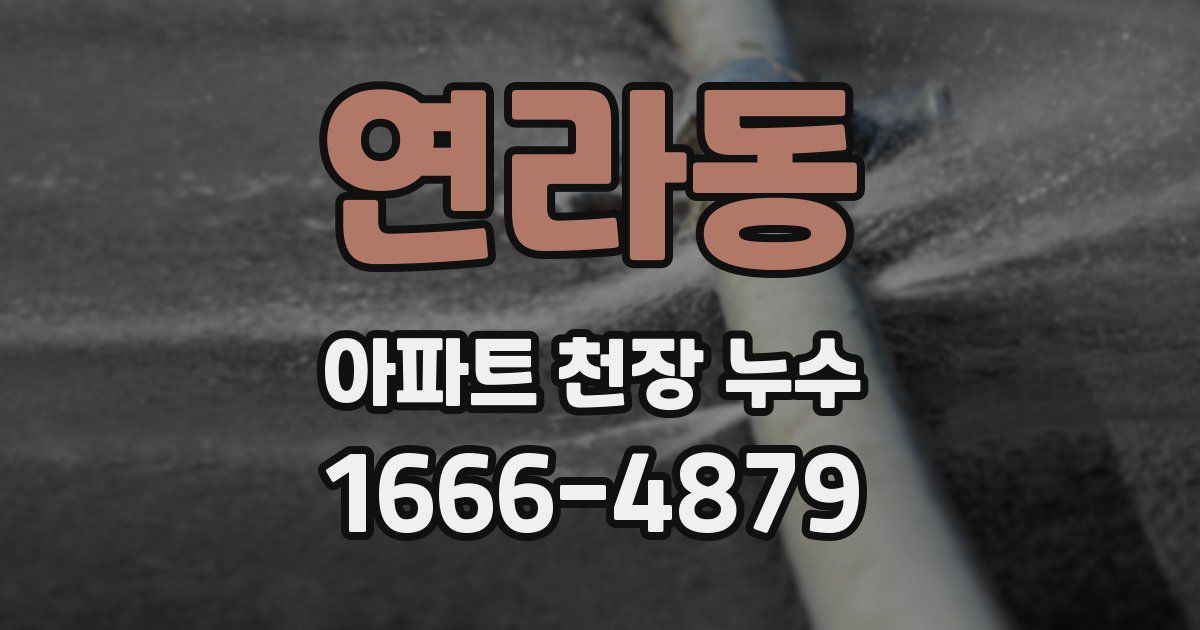 연라동 아파트 천장 누수