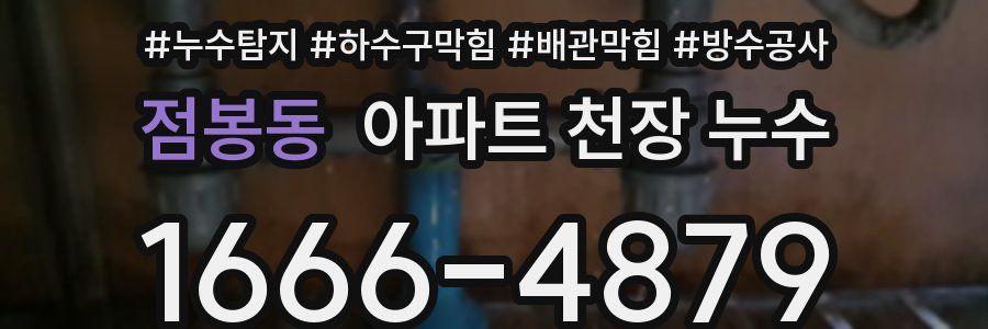점봉동 아파트 천장 누수