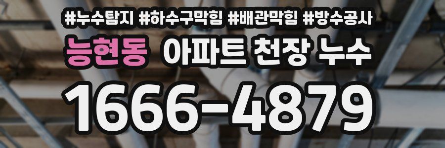 능현동 아파트 천장 누수