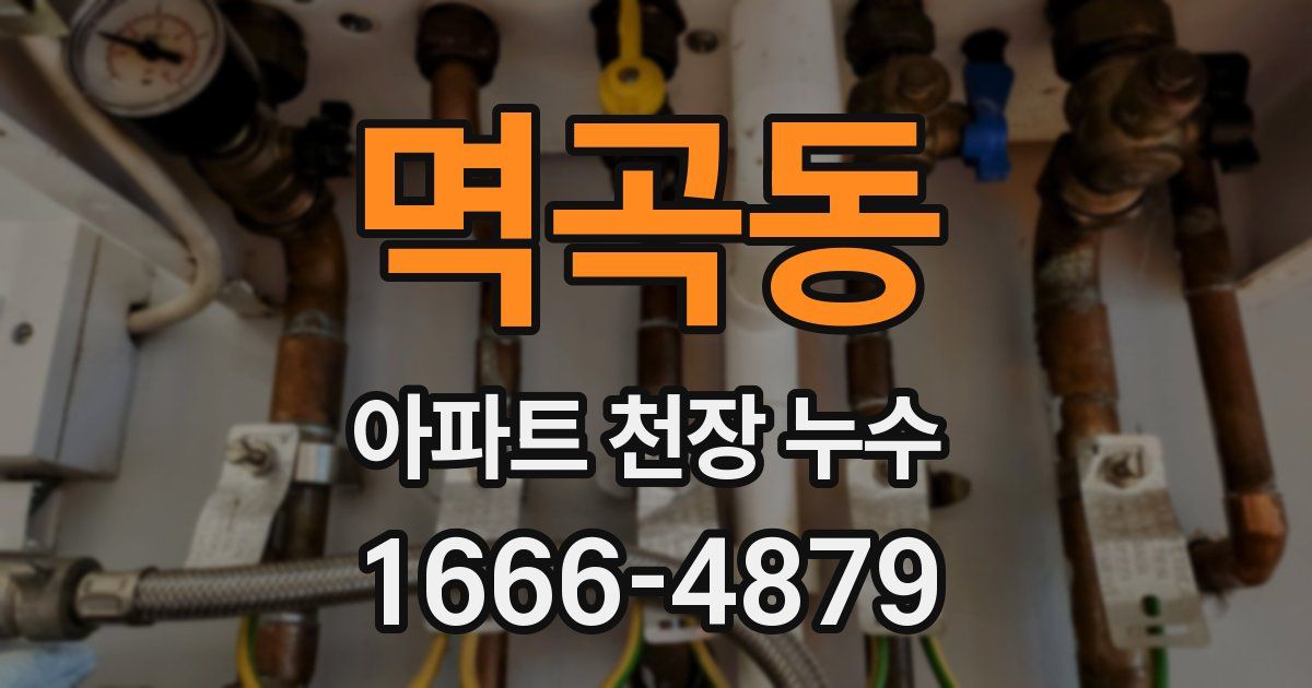 멱곡동 아파트 천장 누수