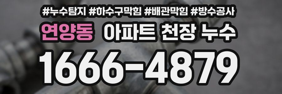 연양동 아파트 천장 누수