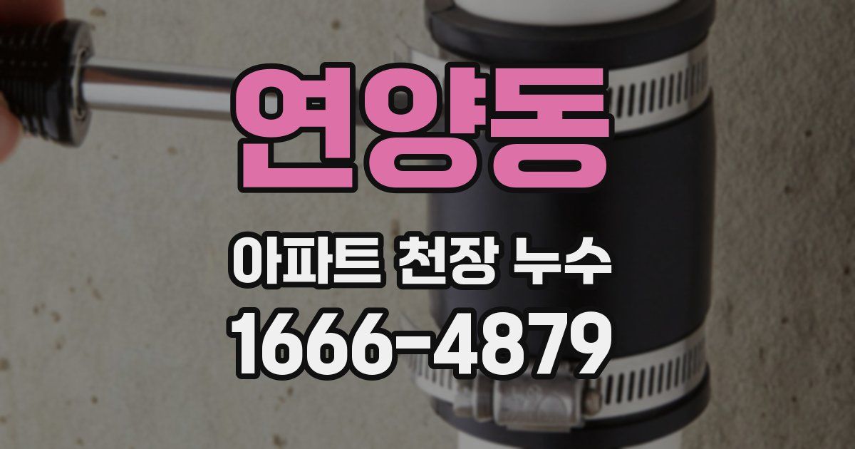 연양동 아파트 천장 누수