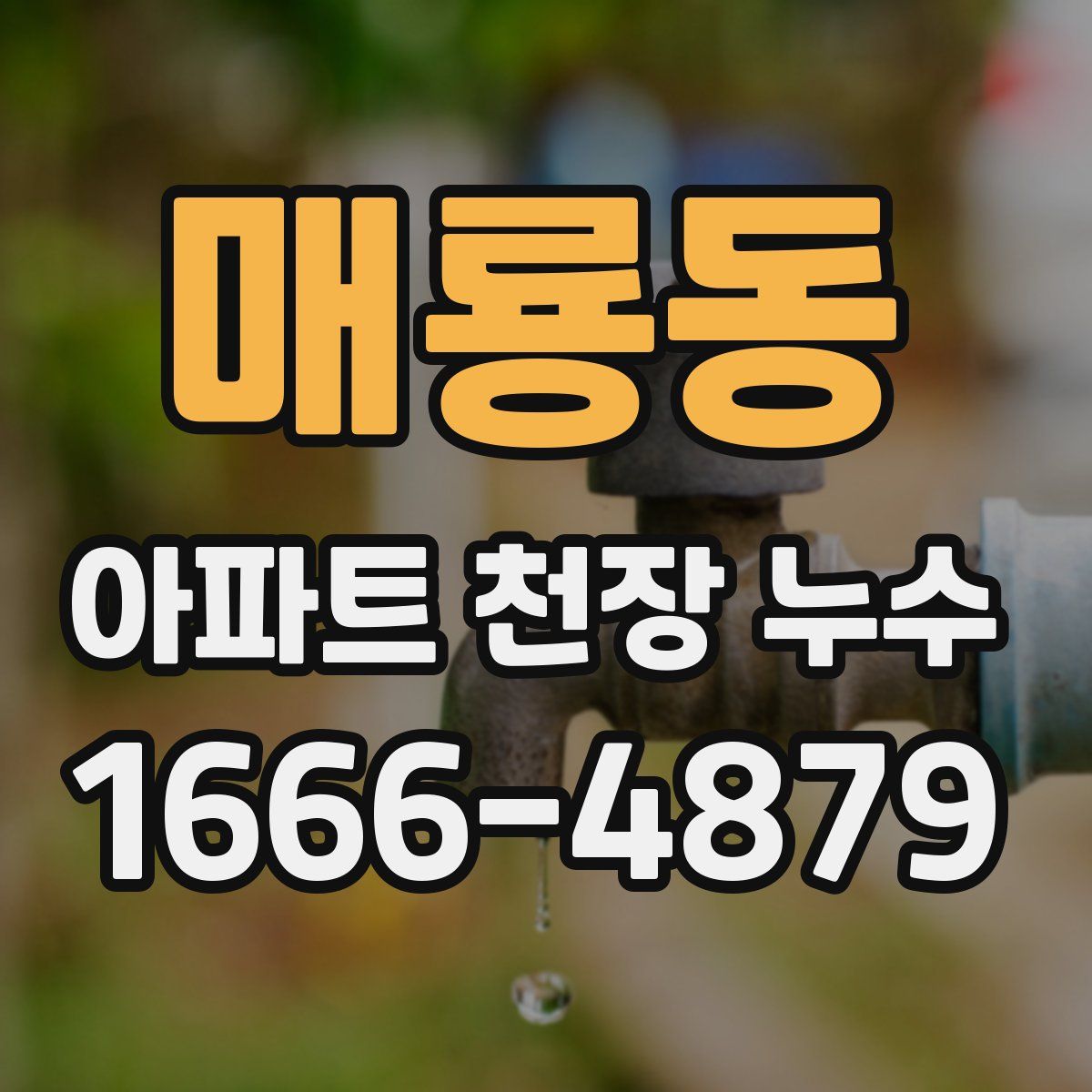 매룡동 아파트 천장 누수