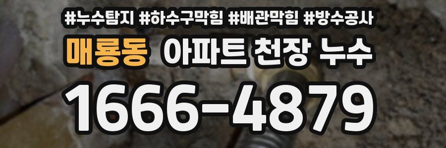 매룡동 아파트 천장 누수