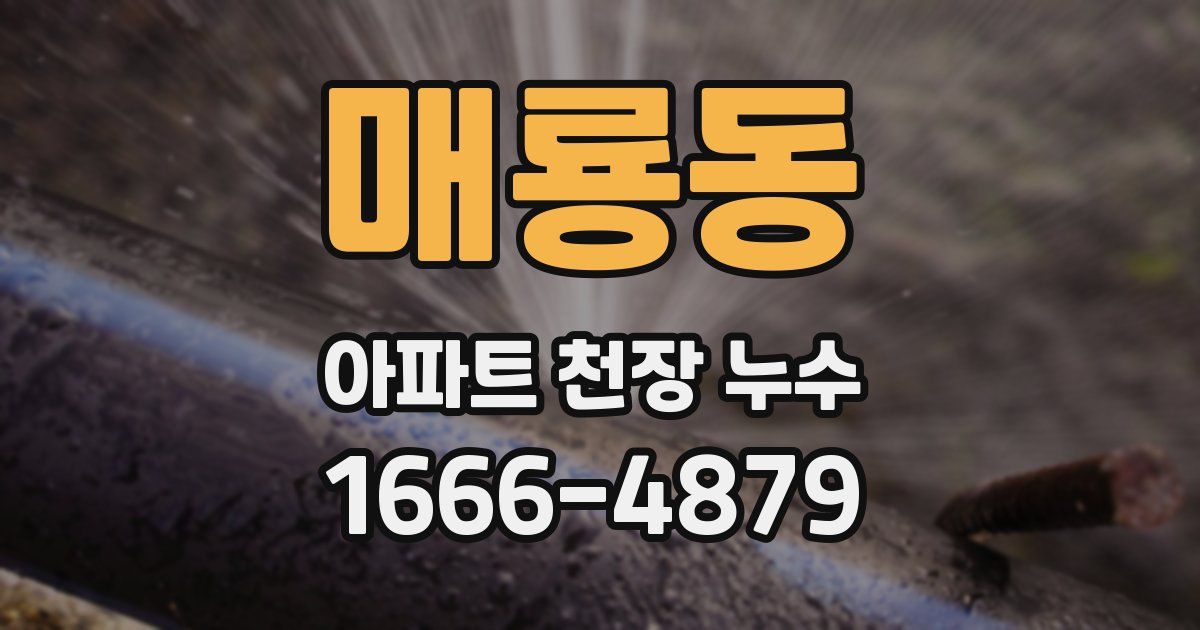 매룡동 아파트 천장 누수