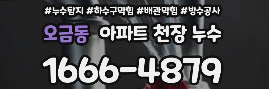 오금동 아파트 천장 누수