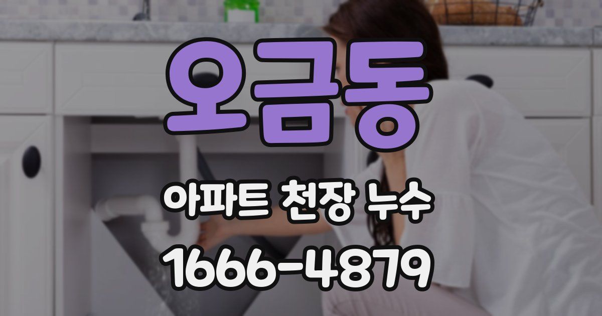 오금동 아파트 천장 누수