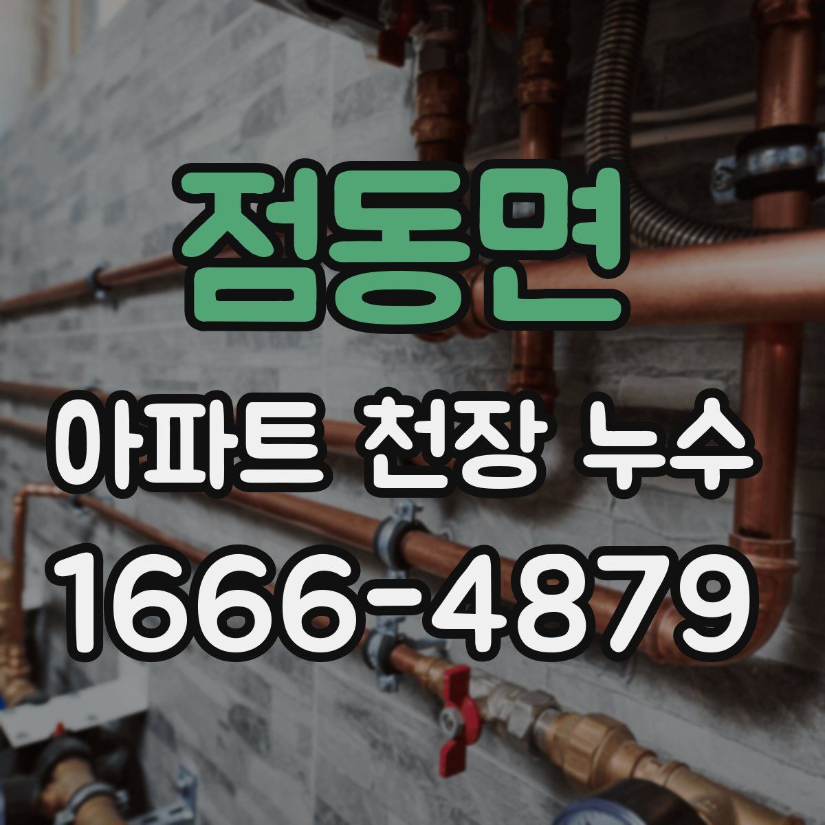 점동면 아파트 천장 누수