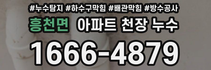 흥천면 아파트 천장 누수