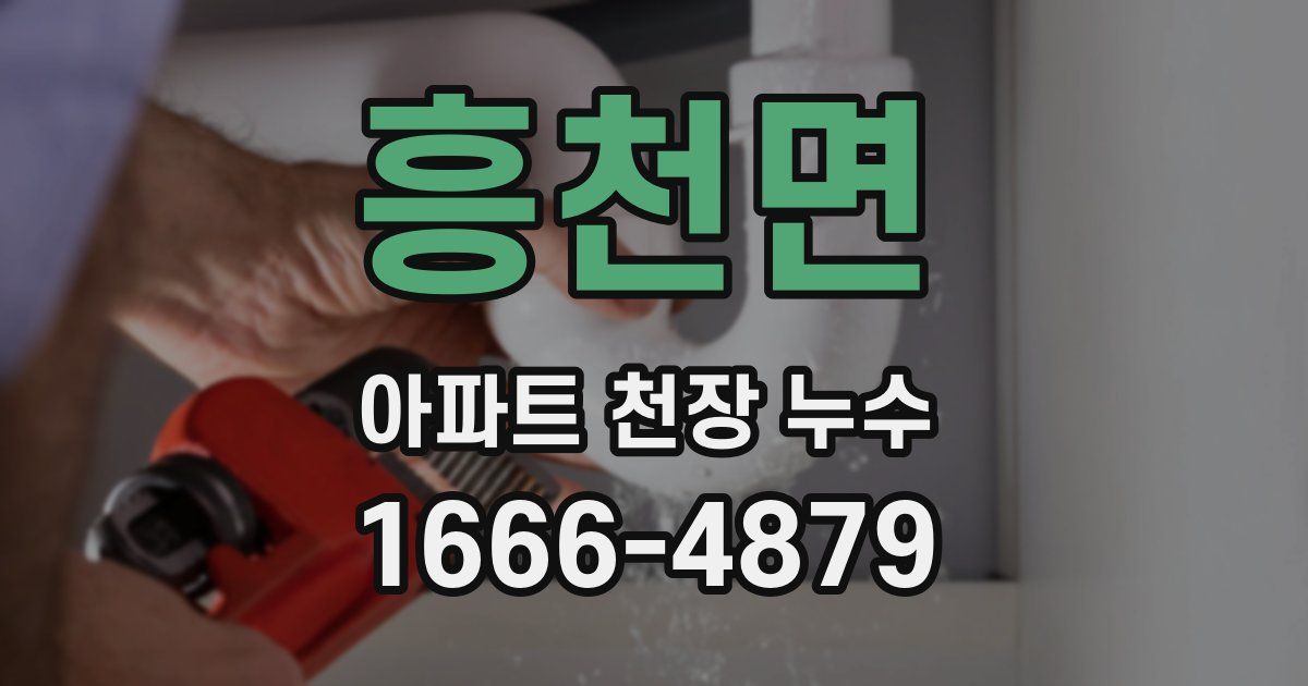 흥천면 아파트 천장 누수