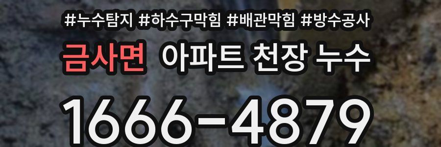 금사면 아파트 천장 누수