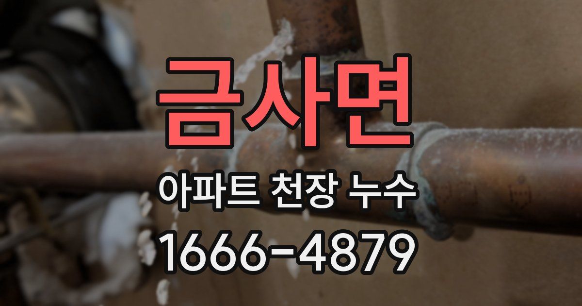 금사면 아파트 천장 누수