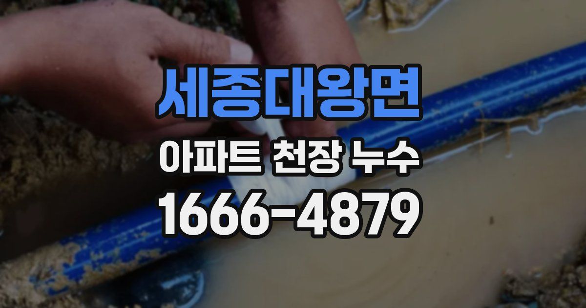 세종대왕면 아파트 천장 누수
