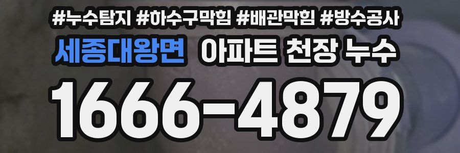 세종대왕면 아파트 천장 누수