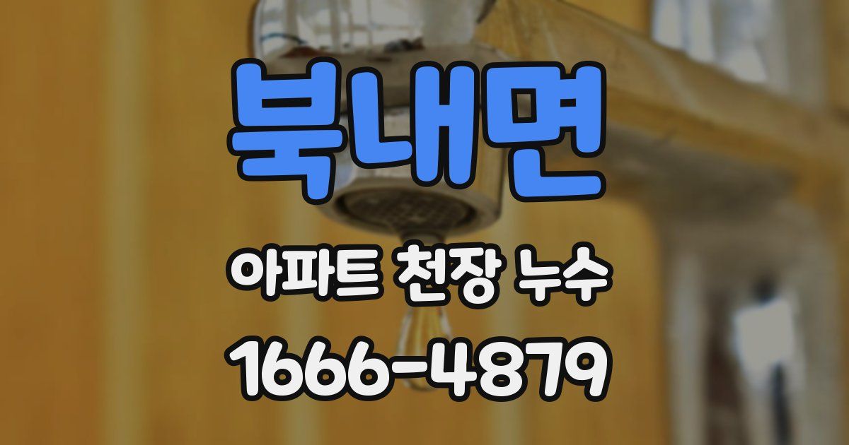 북내면 아파트 천장 누수