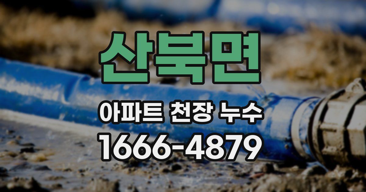 산북면 아파트 천장 누수