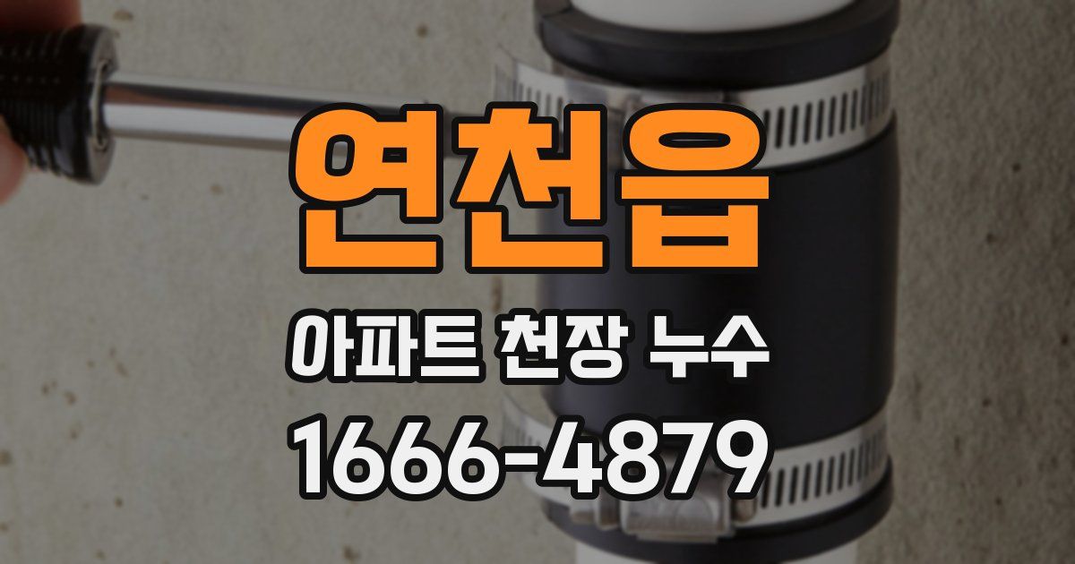 연천읍 아파트 천장 누수