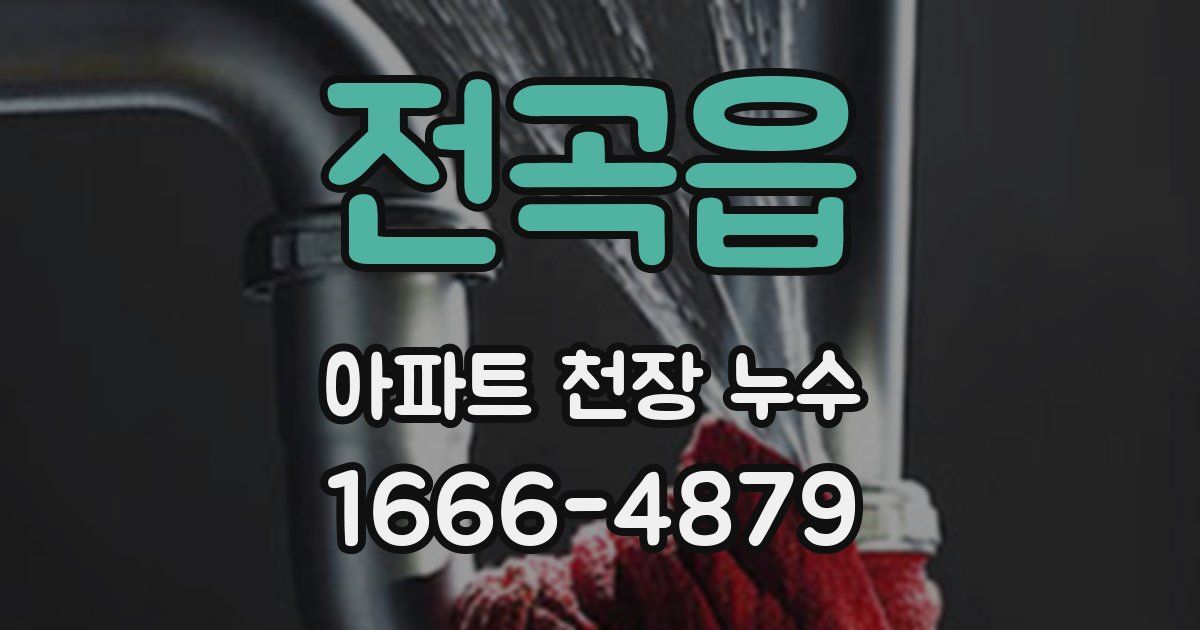 전곡읍 아파트 천장 누수