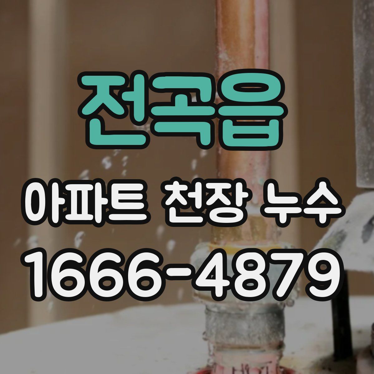 전곡읍 아파트 천장 누수