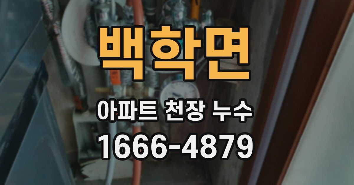 백학면 아파트 천장 누수