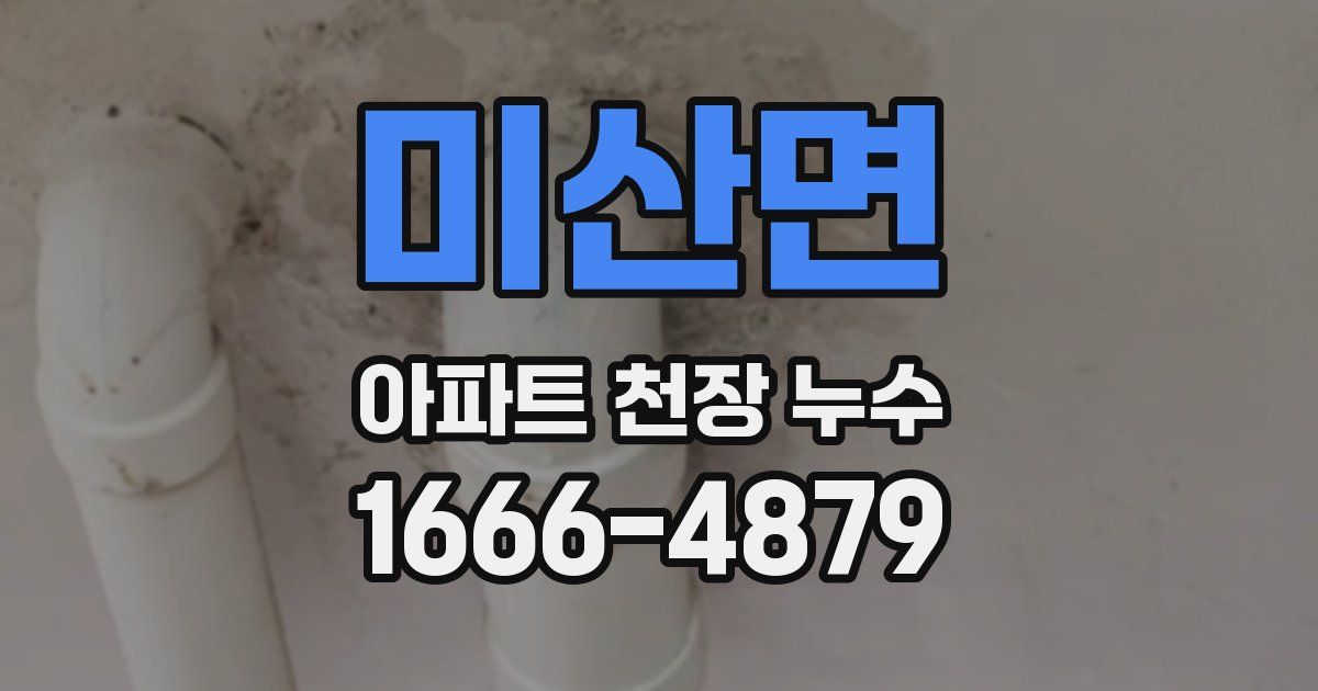 미산면 아파트 천장 누수