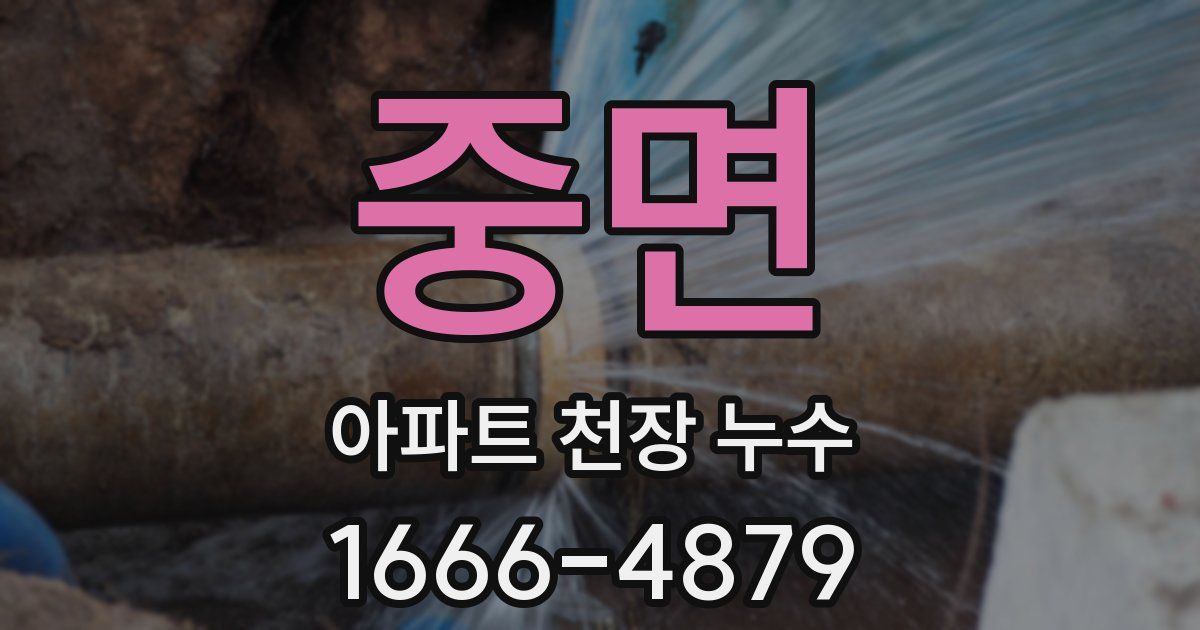 중면 아파트 천장 누수