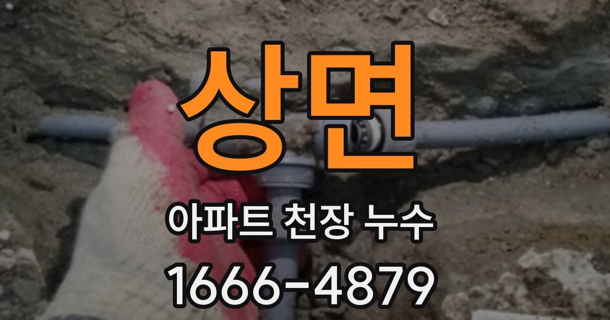 상면 아파트 천장 누수