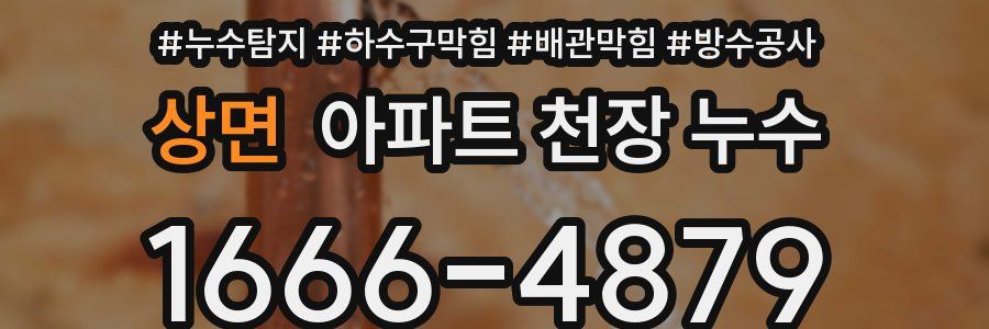 상면 아파트 천장 누수