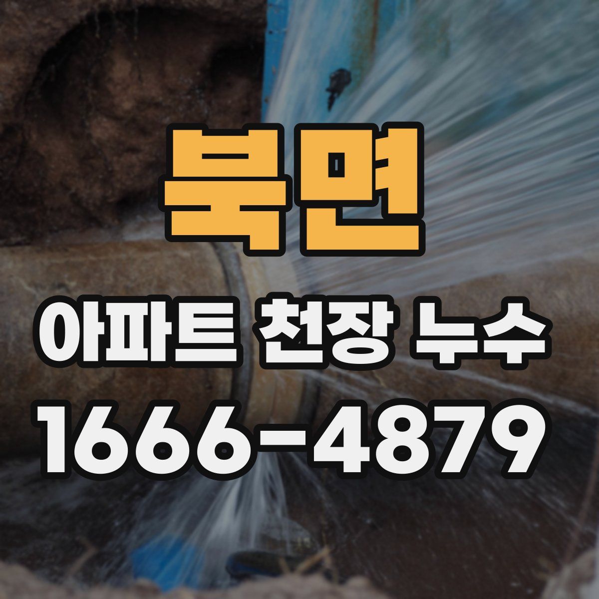 북면 아파트 천장 누수