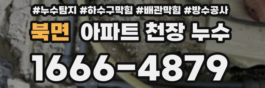 북면 아파트 천장 누수