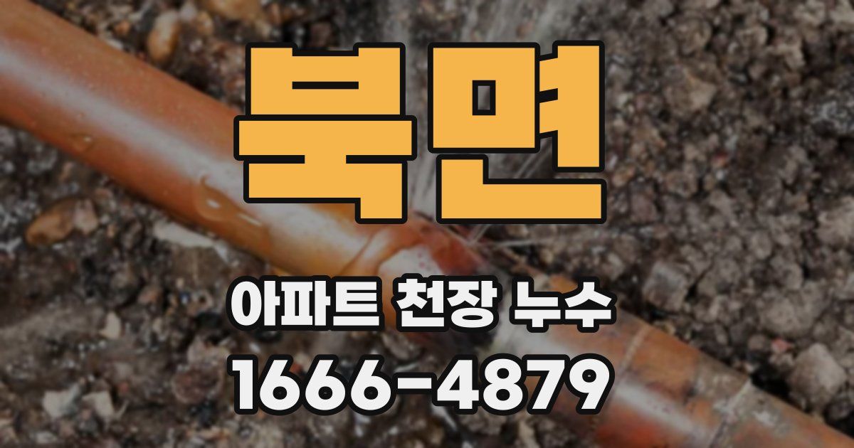 북면 아파트 천장 누수