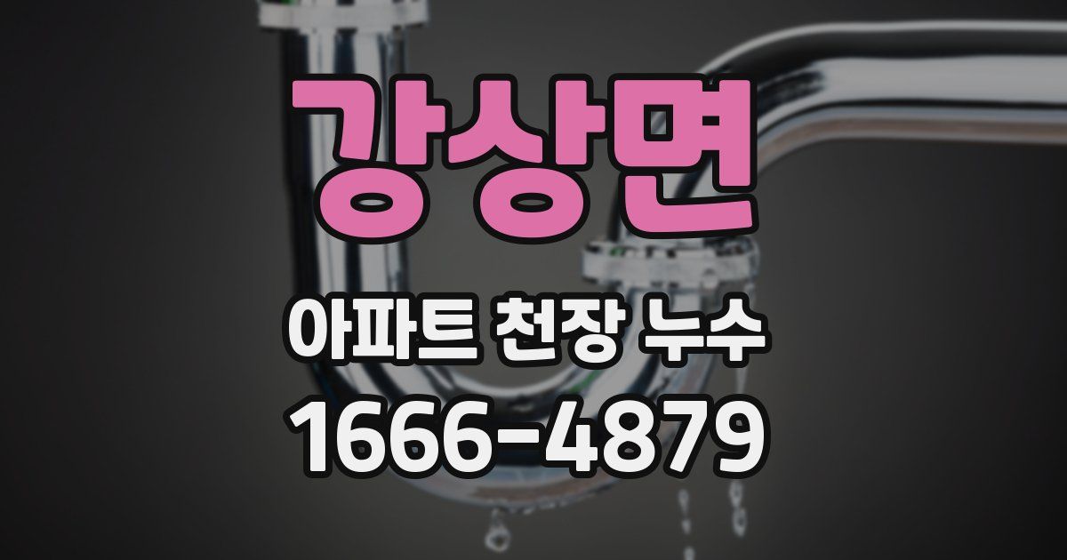 강상면 아파트 천장 누수
