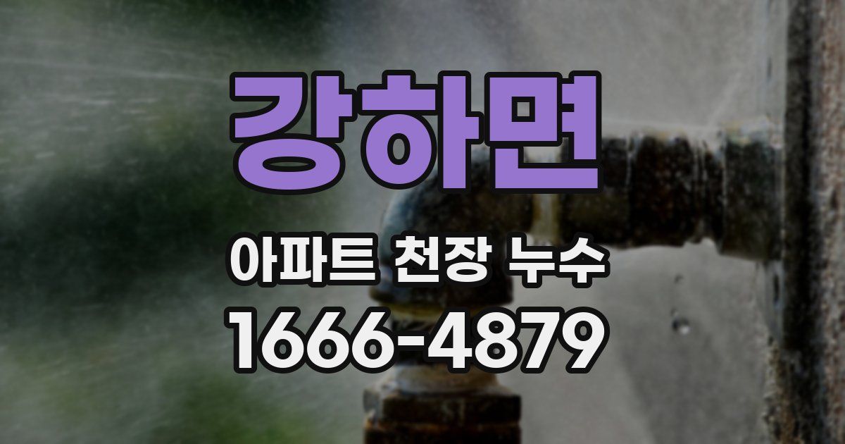 강하면 아파트 천장 누수