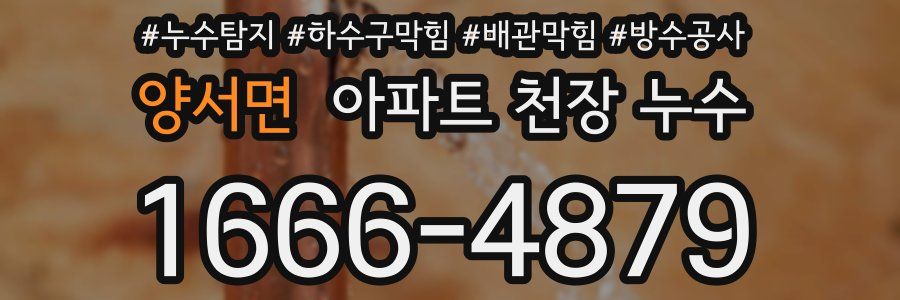 양서면 아파트 천장 누수