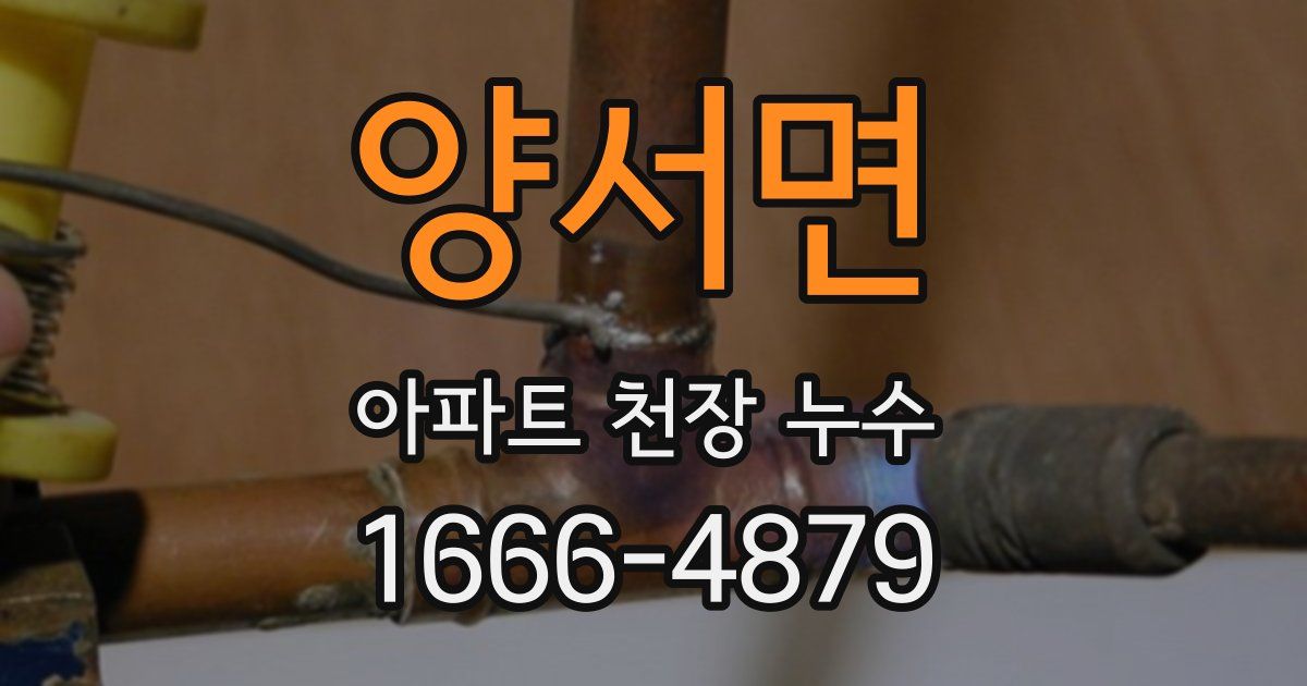 양서면 아파트 천장 누수