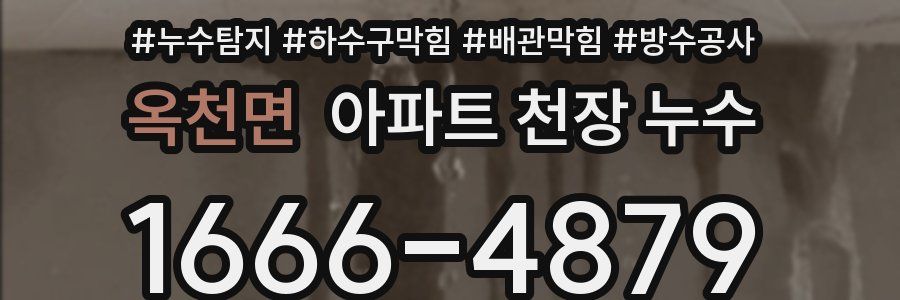 옥천면 아파트 천장 누수