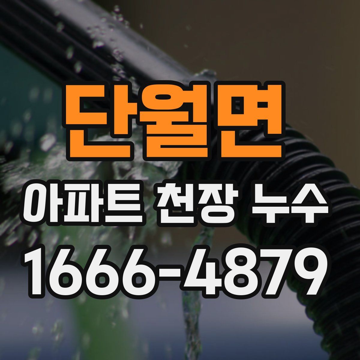 단월면 아파트 천장 누수