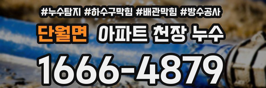 단월면 아파트 천장 누수