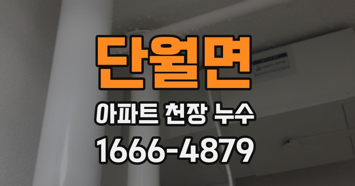 단월면 아파트 천장 누수