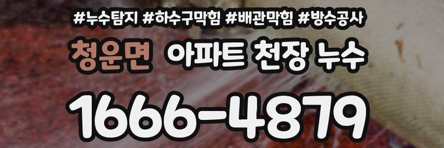 청운면 아파트 천장 누수