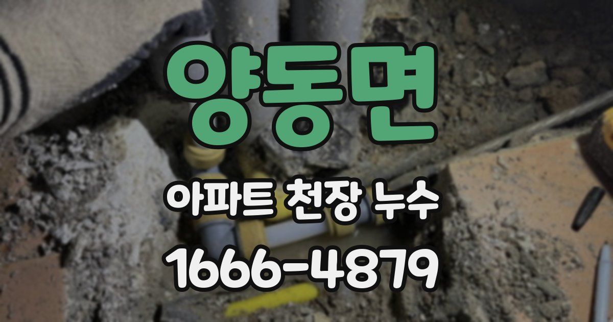 양동면 아파트 천장 누수