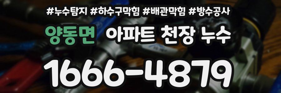 양동면 아파트 천장 누수