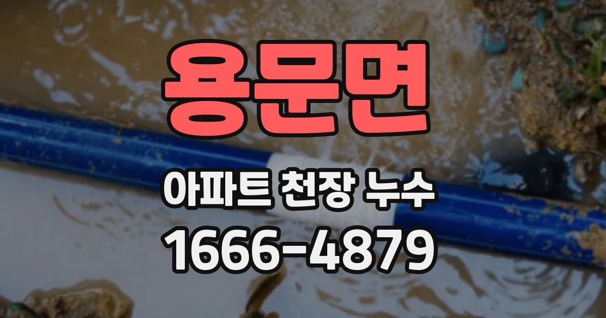 용문면 아파트 천장 누수