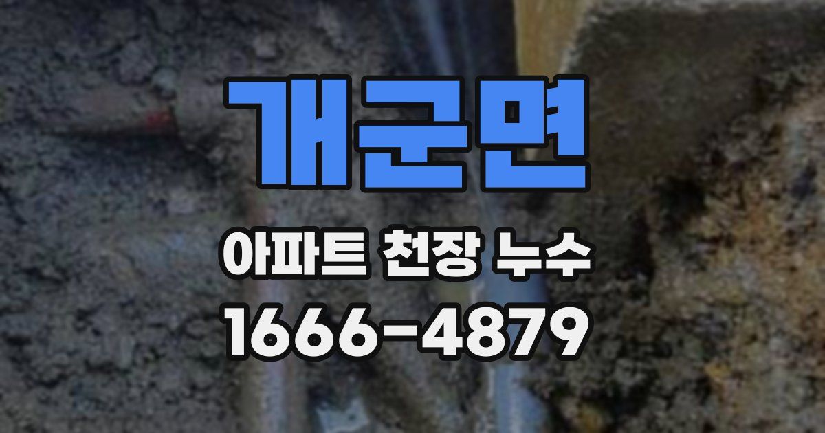 개군면 아파트 천장 누수