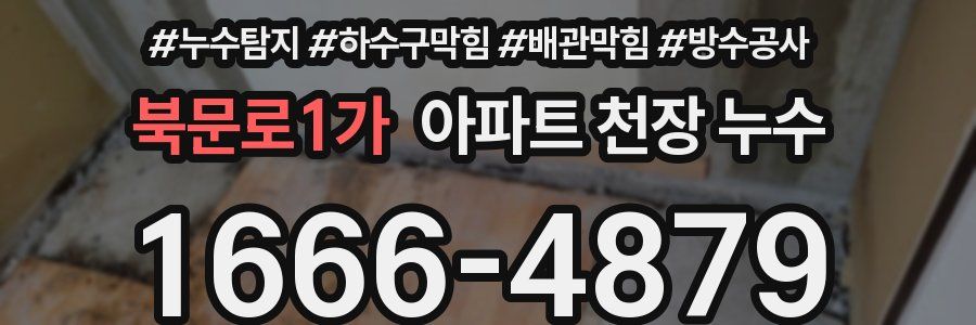 북문로1가 아파트 천장 누수