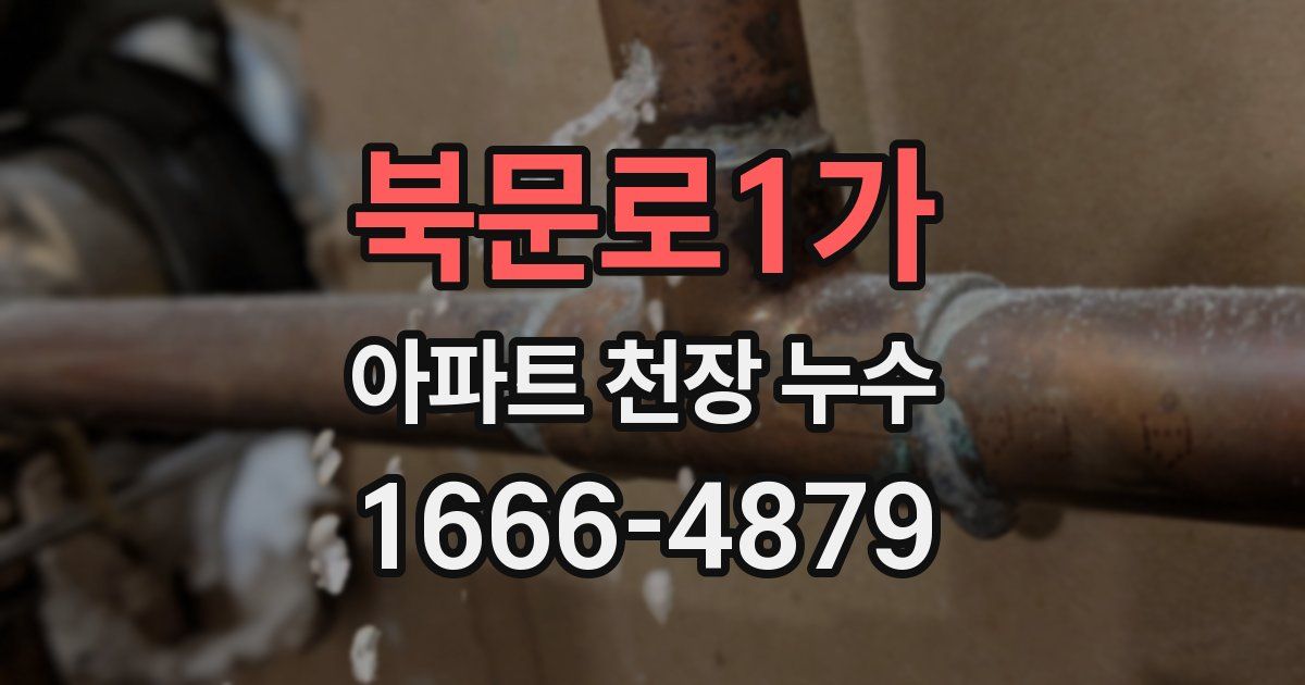 북문로1가 아파트 천장 누수