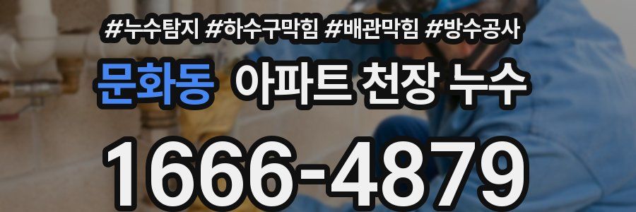 문화동 아파트 천장 누수