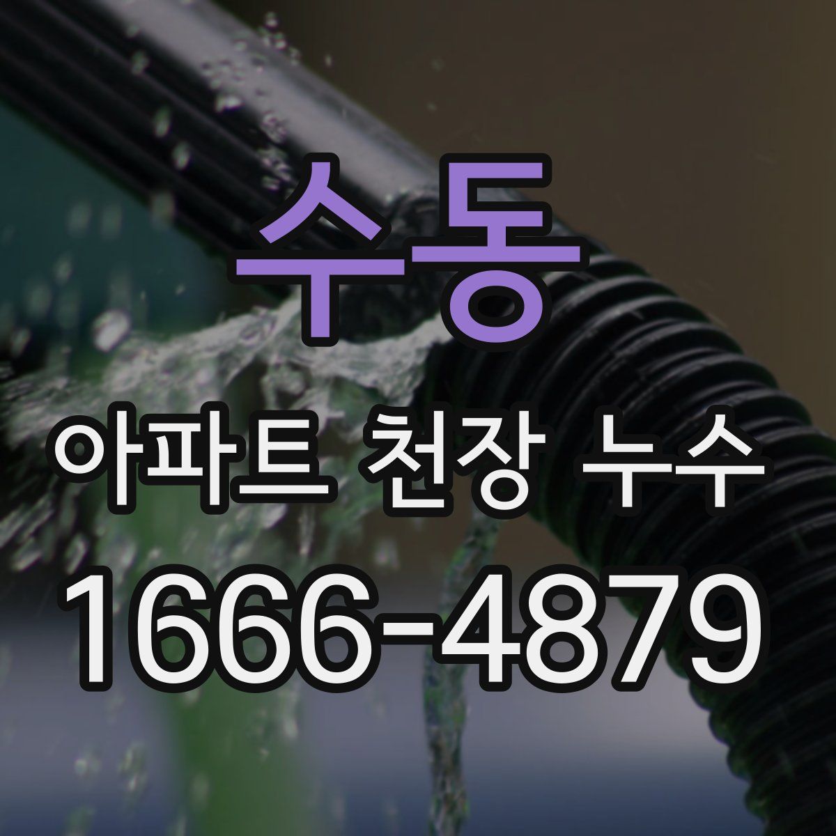 수동 아파트 천장 누수