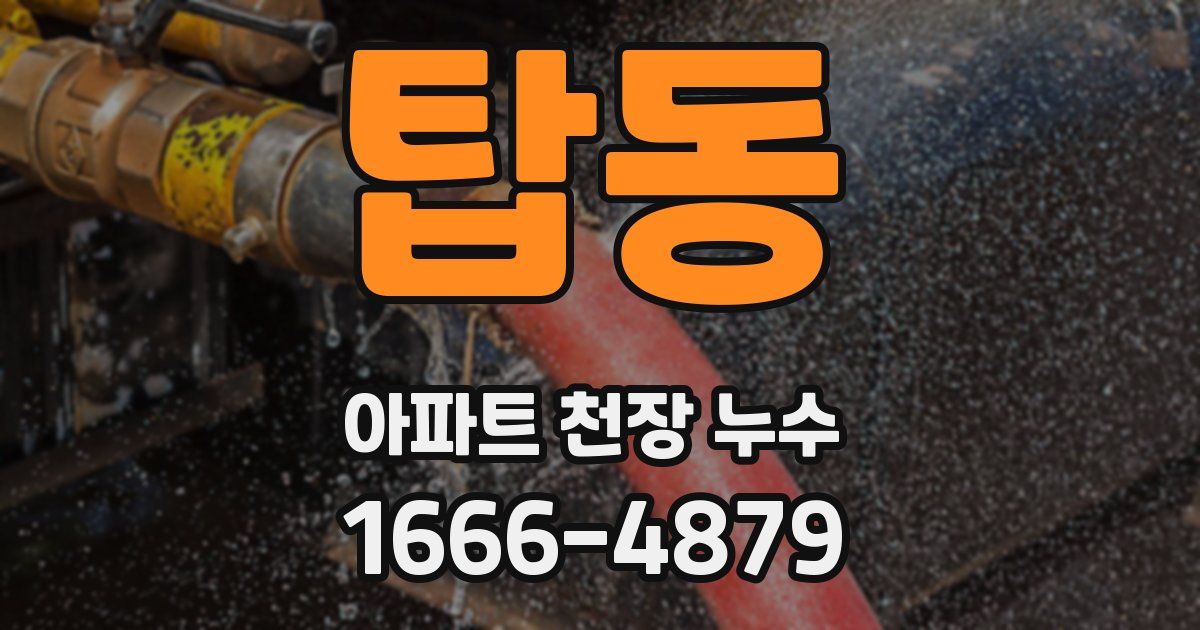 탑동 아파트 천장 누수