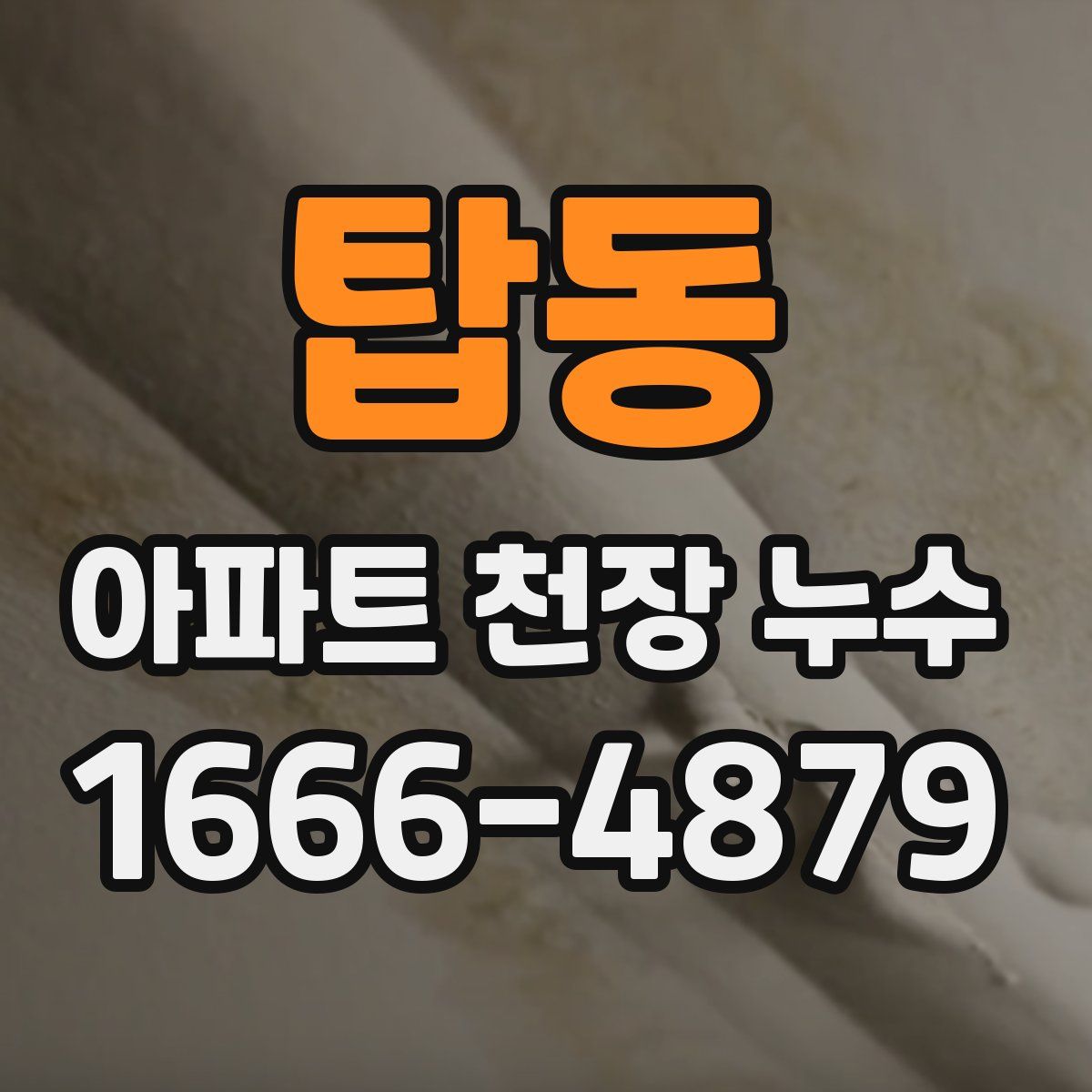 탑동 아파트 천장 누수